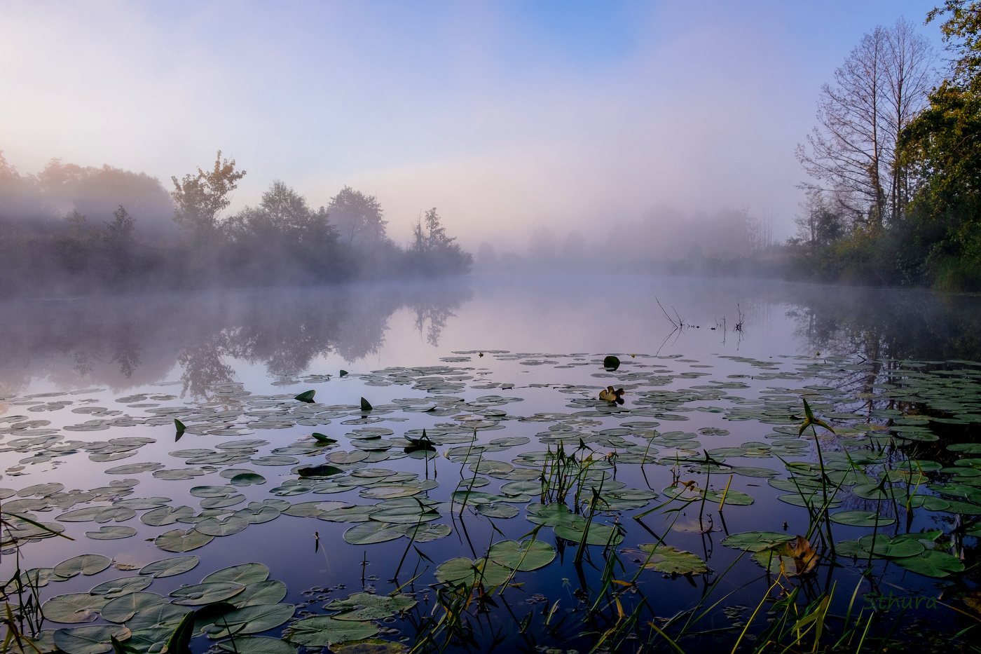 Утро на озере.