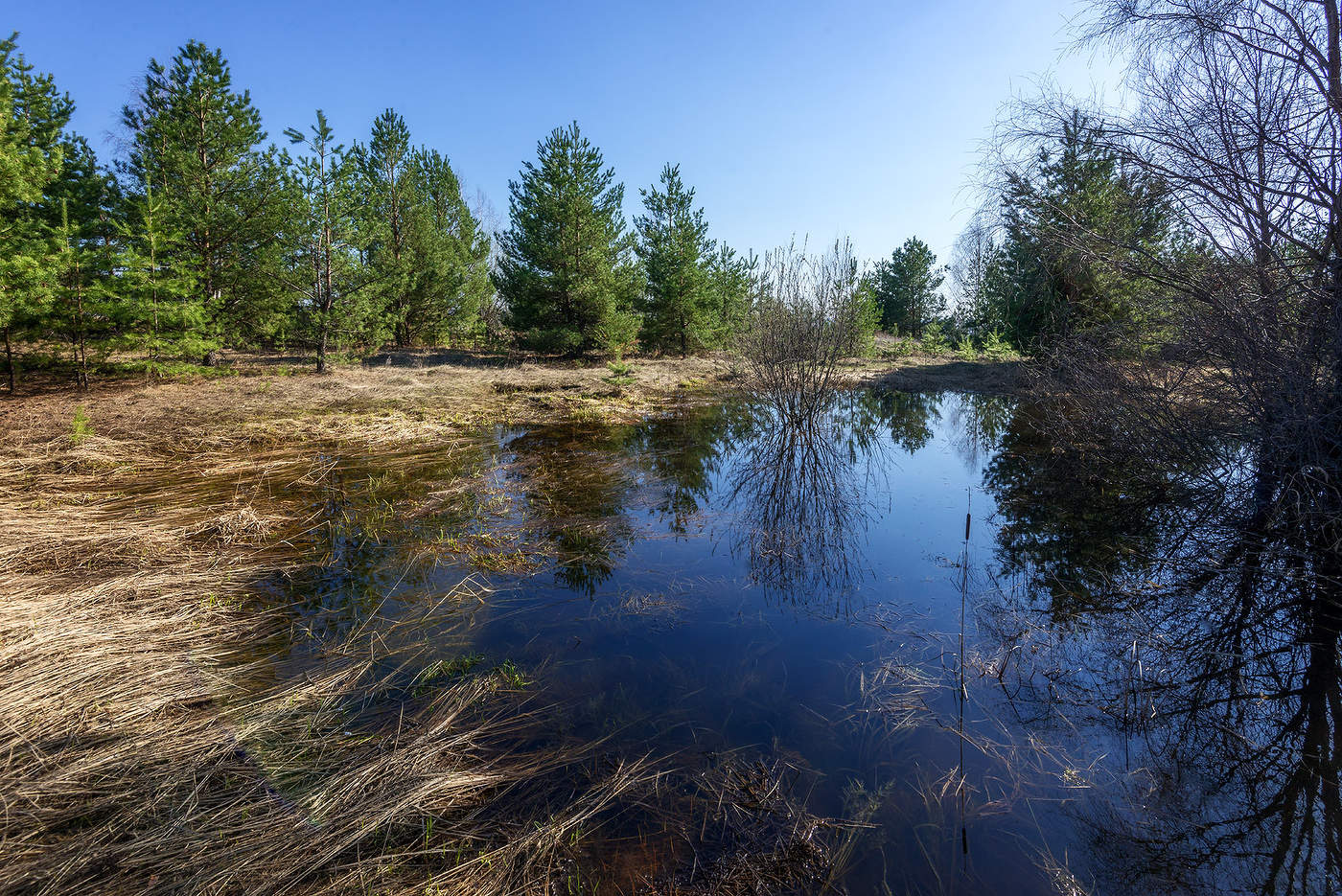 Вешние воды...