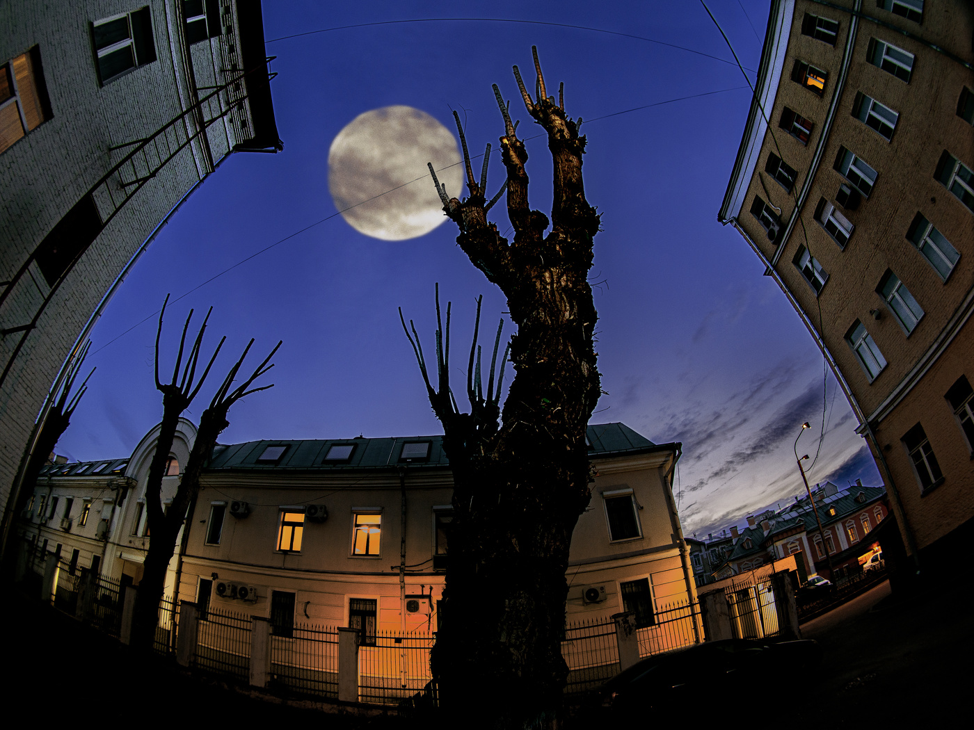 Городское полнолуние