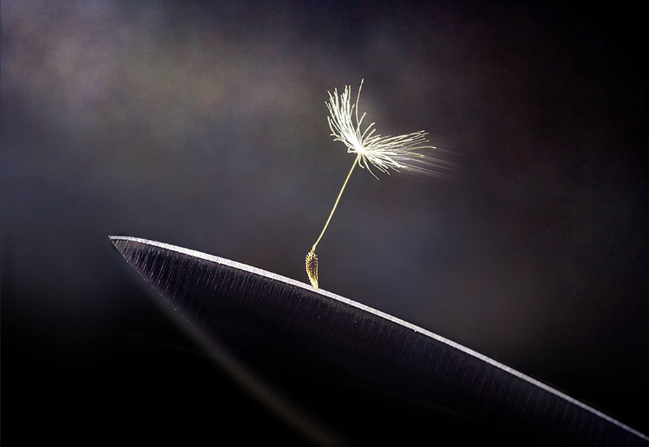 опасный путь