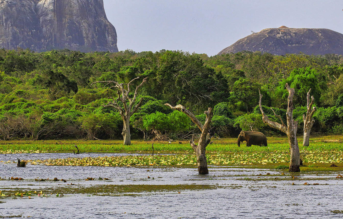 В Национальном парке Яла