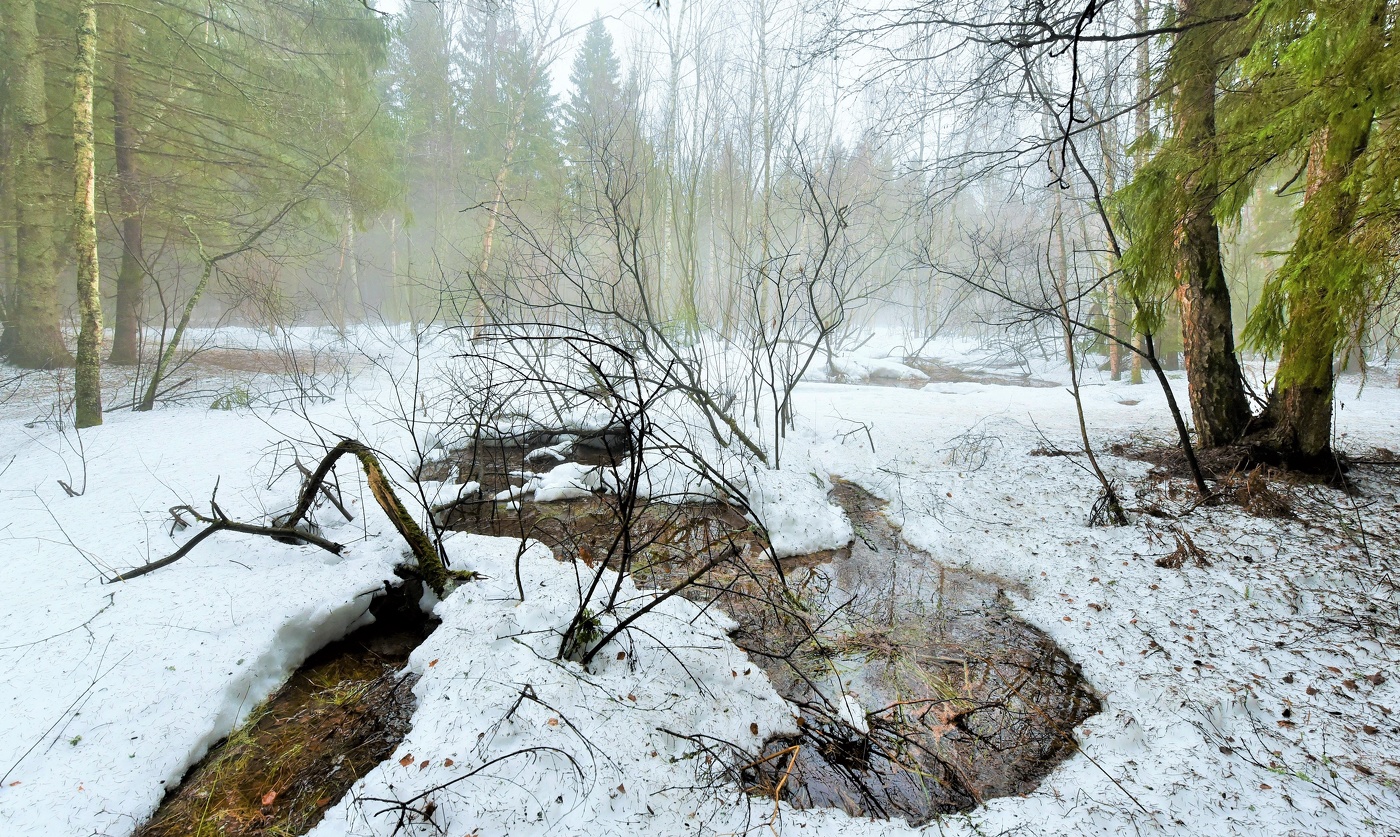 "И март крадется, будто кот, на бархатных брезгливых лапах..."