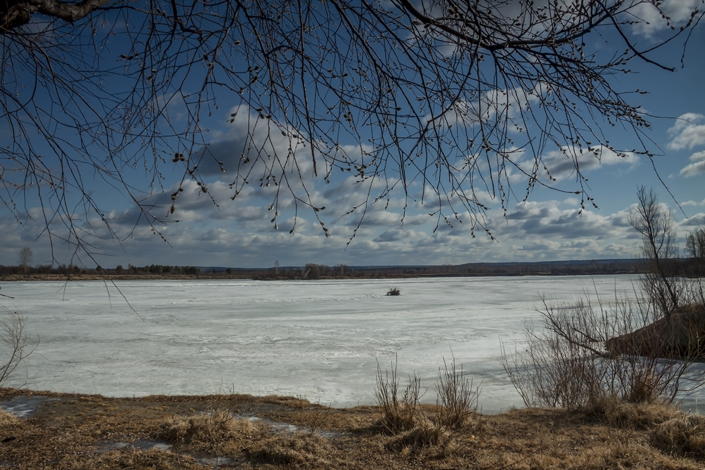 Время вербы