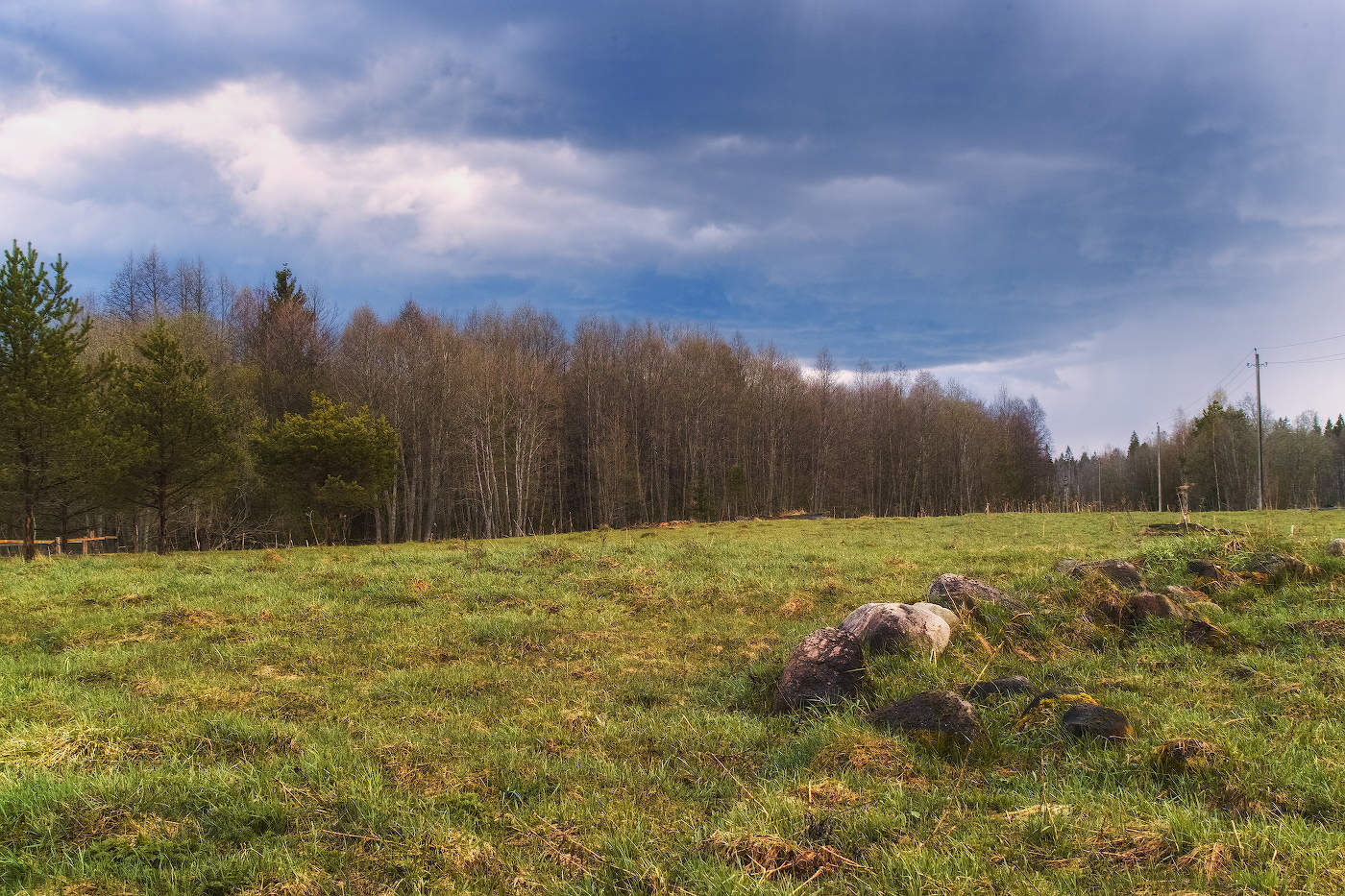 Под хмурым майским небом