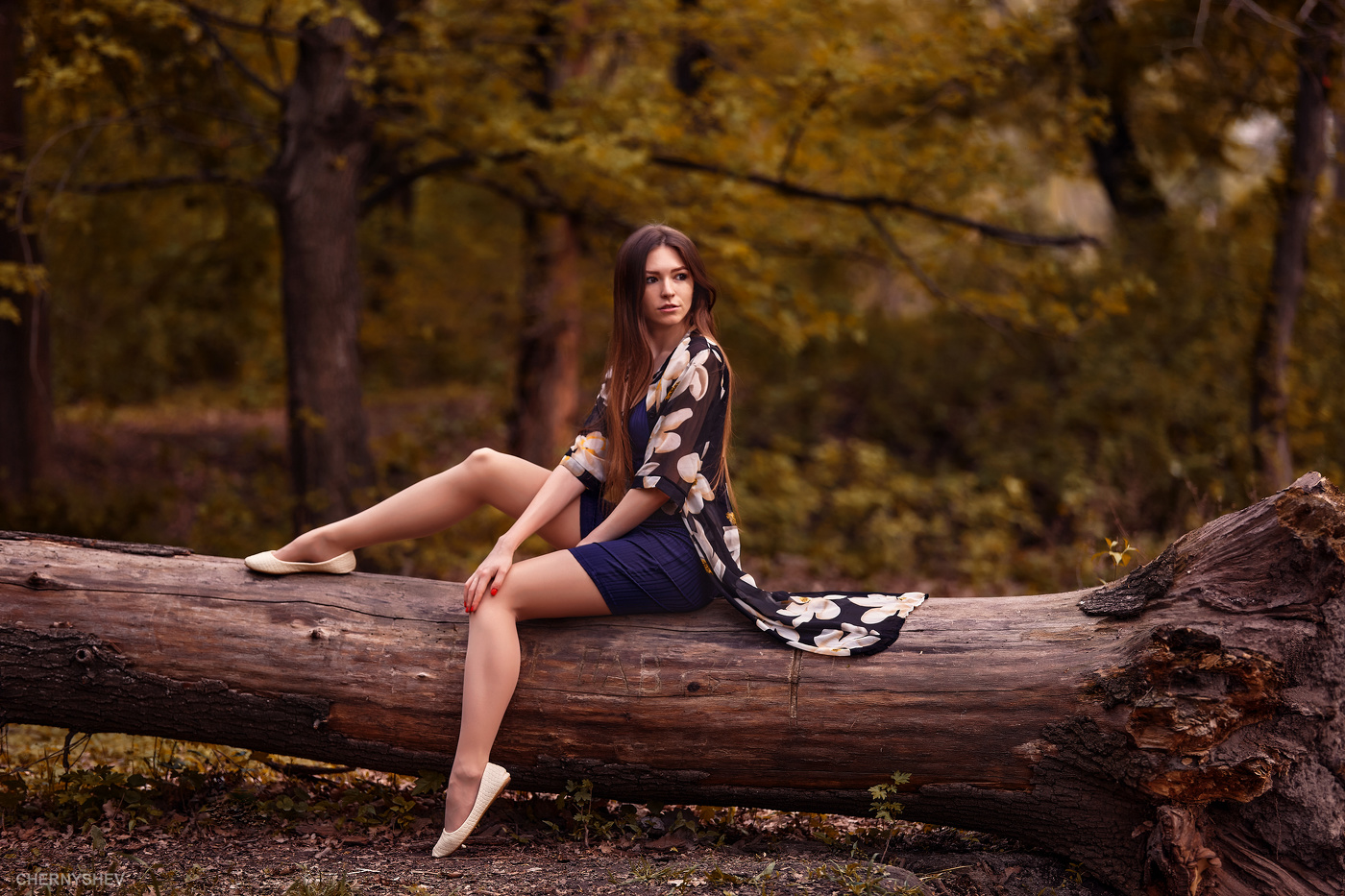 из альбома "логика листьев".