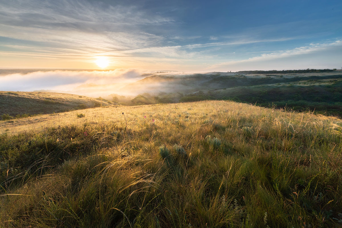 Утро туманное
