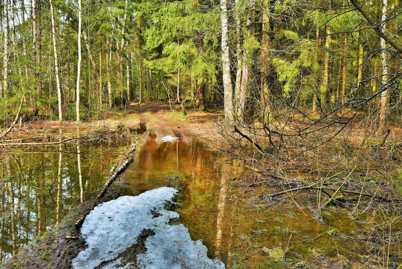 "И плачет дряхлый снег, и умирает лед ..."