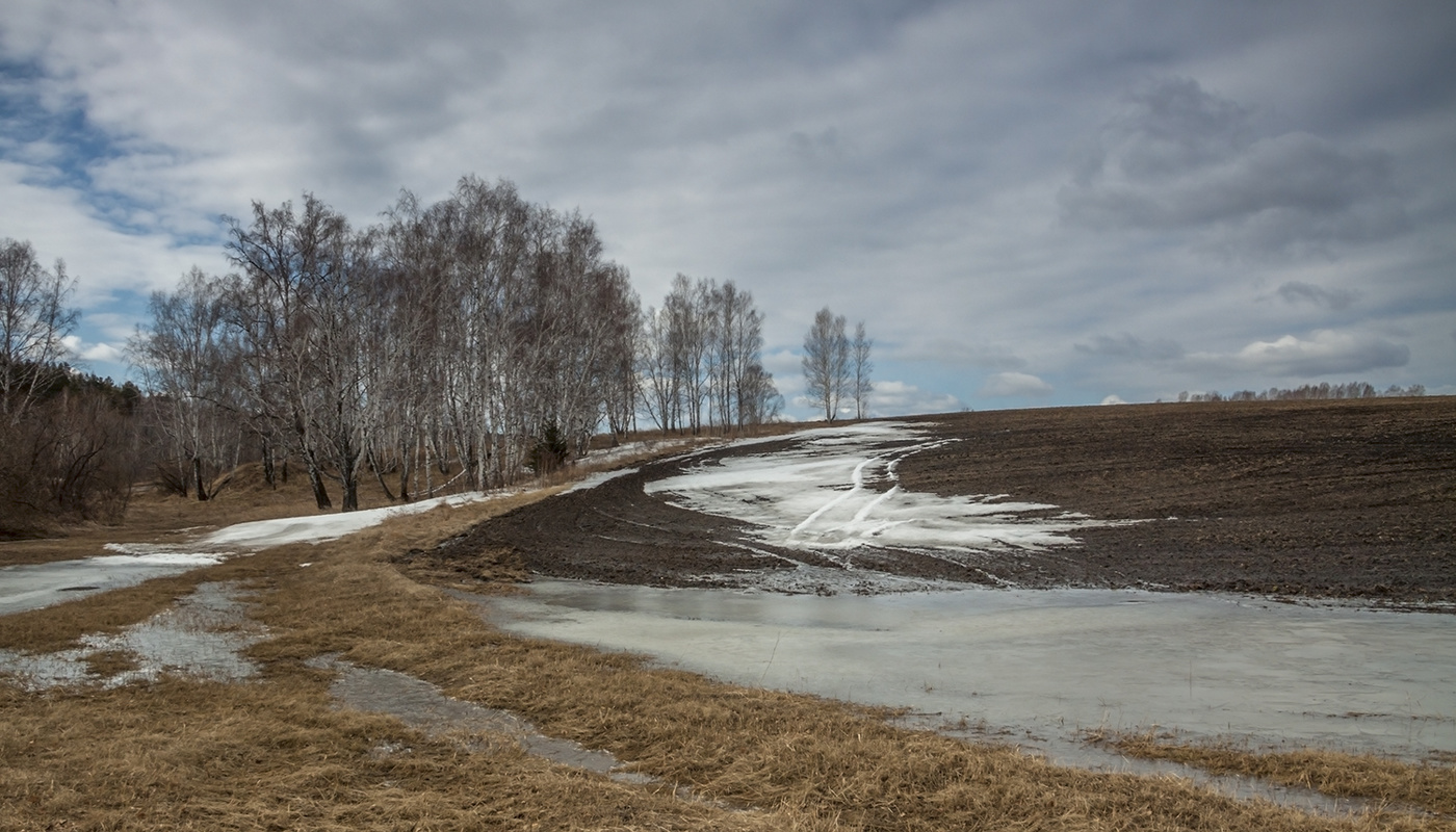 Запах апреля