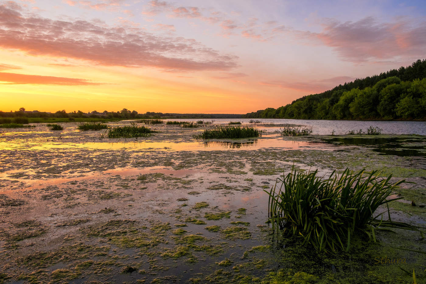Летнее утро.