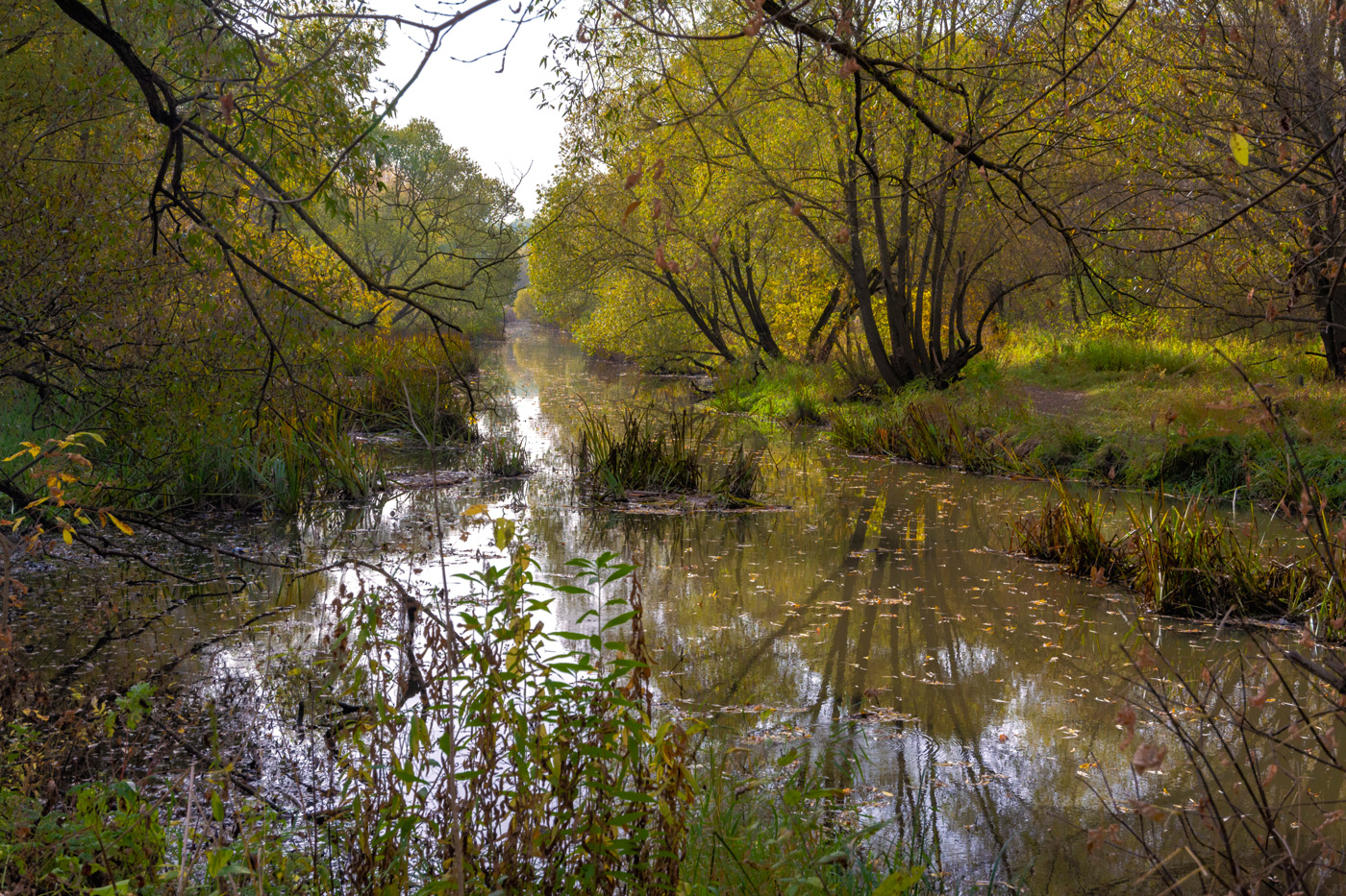 сонная Яуза
