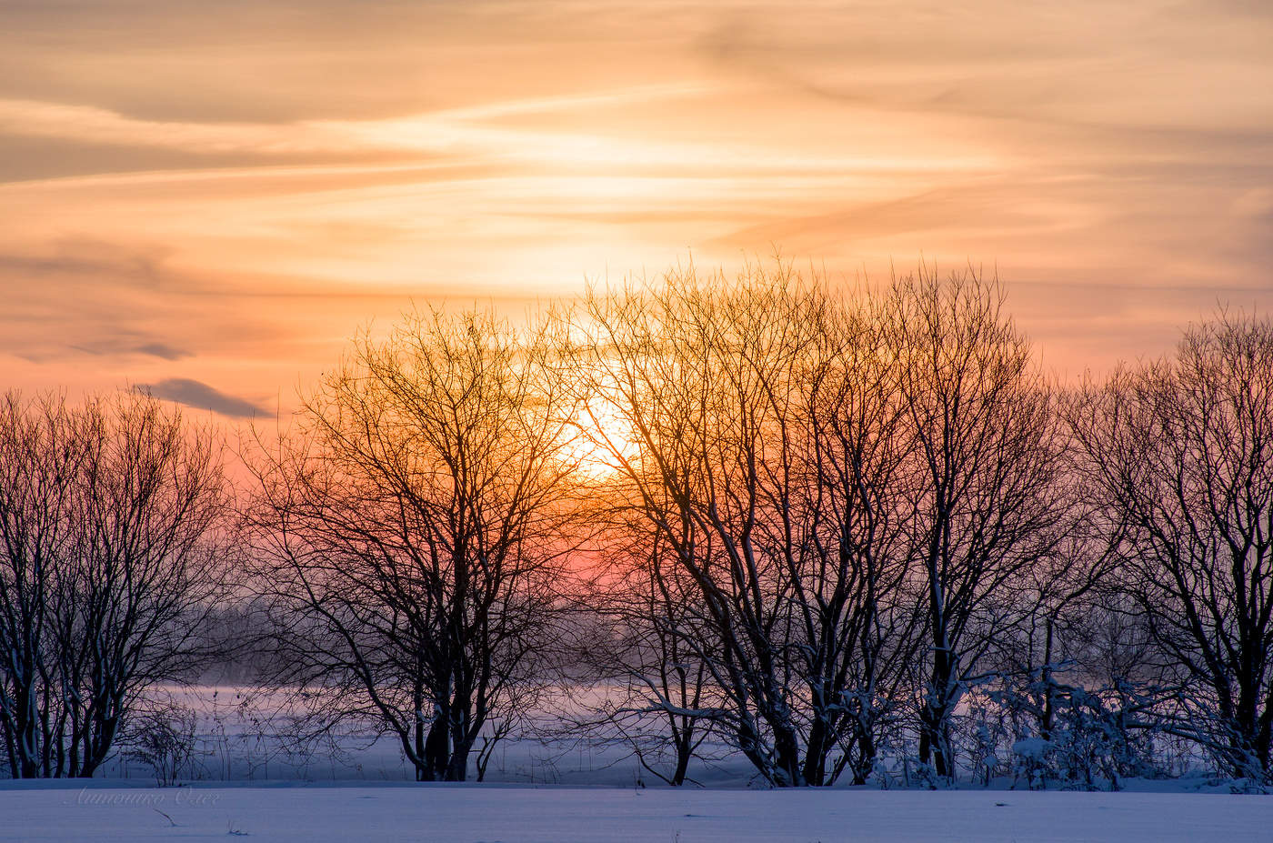 Зимнее утро на поле.