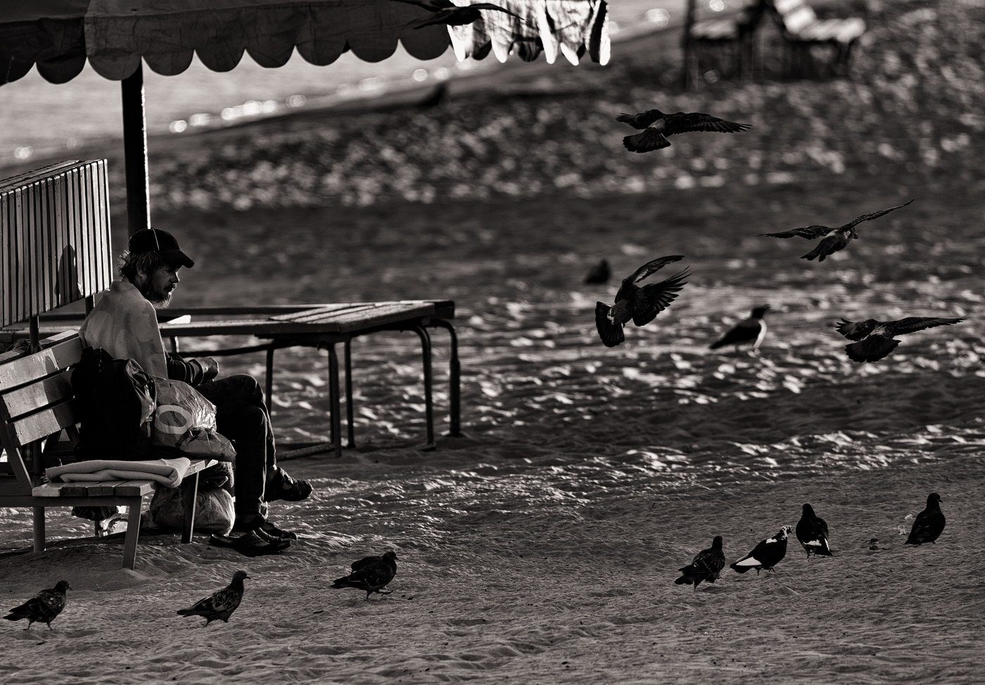 Любовь и голуби