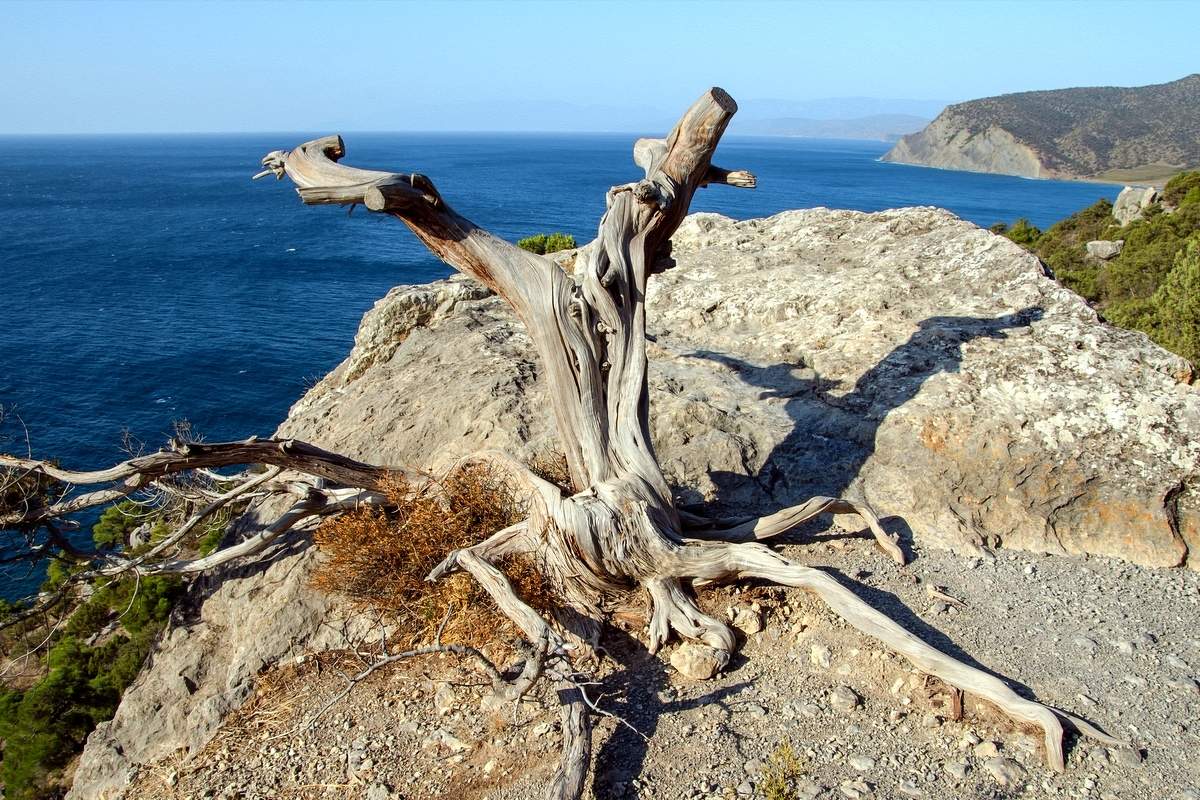 Давно сижу...