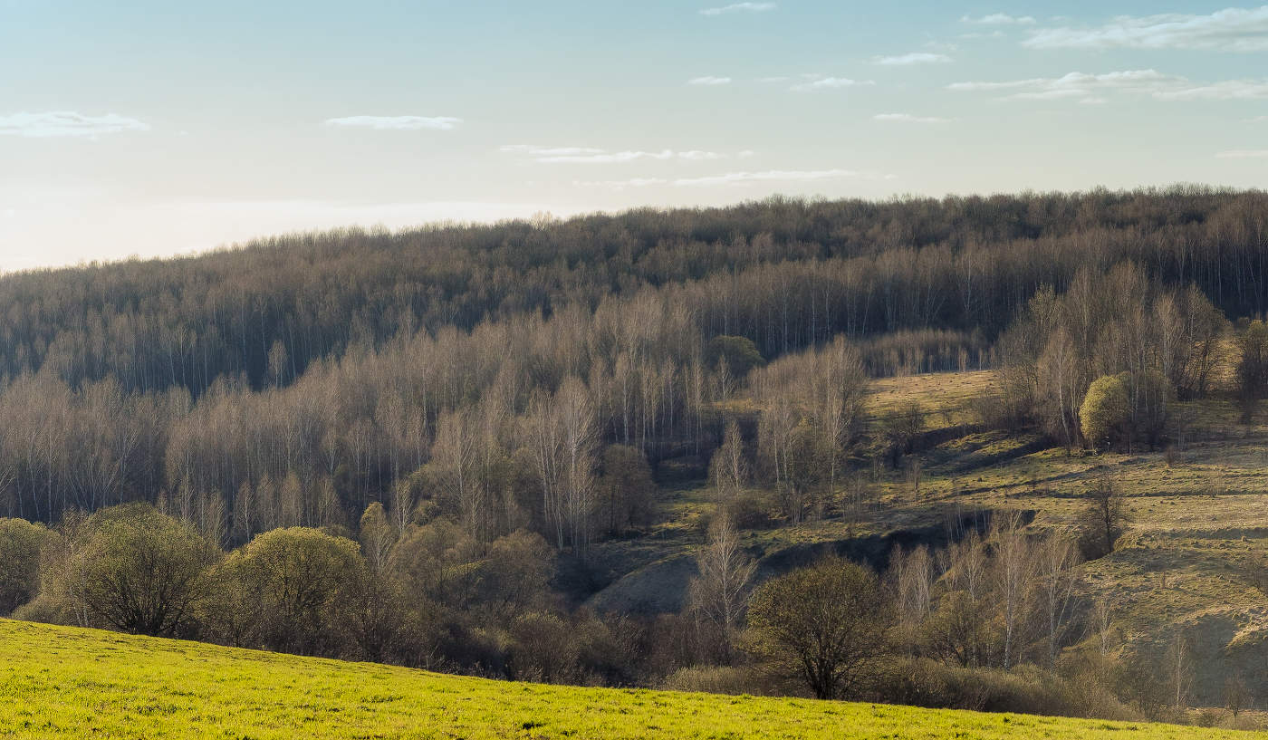 Первая зелень