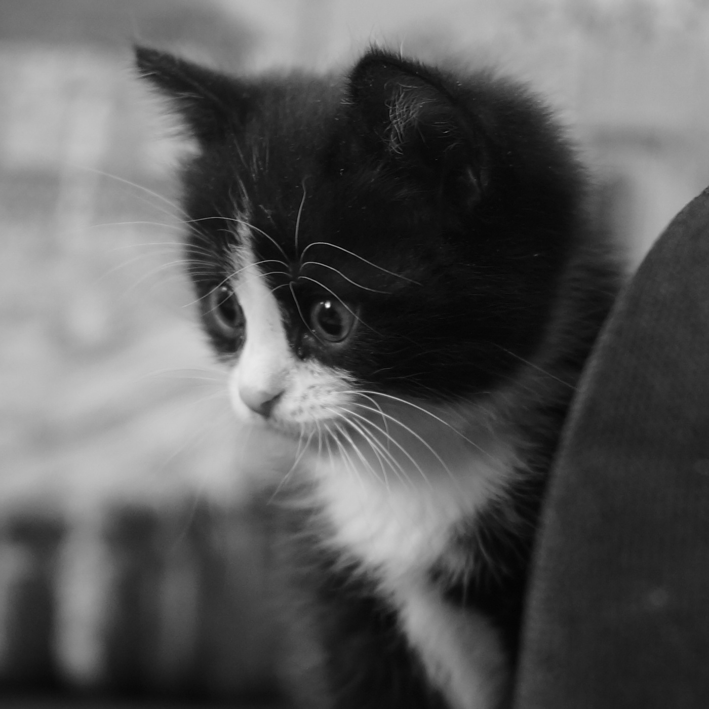 Про усы и брови.