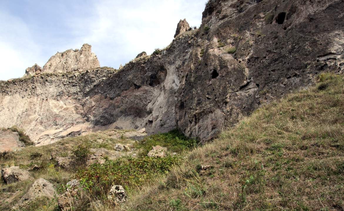 Отдыхающие динозавры.