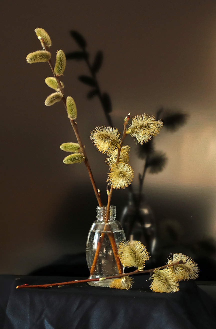 Апрельский натюрморт