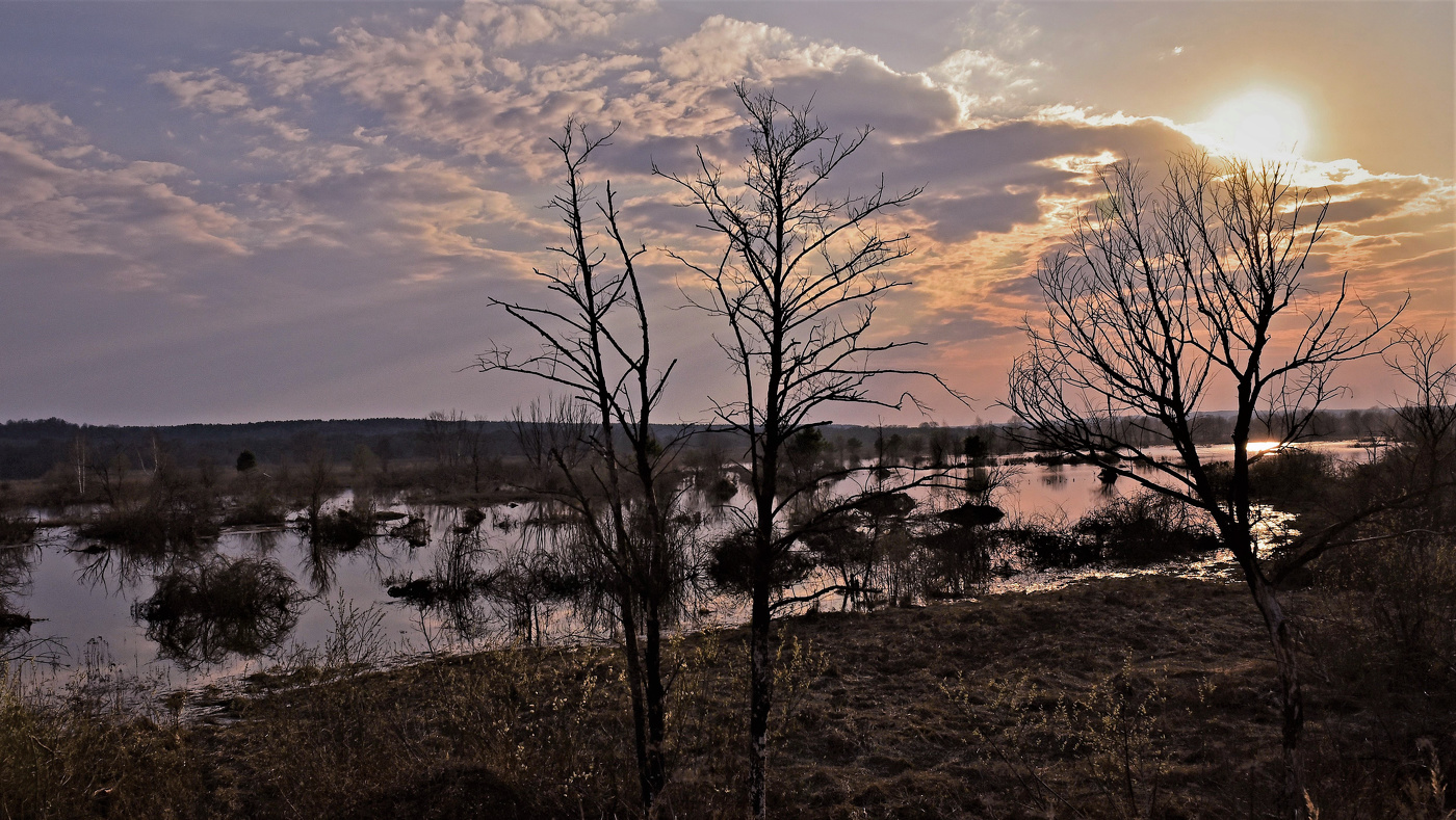 Вечерний пейзаж.