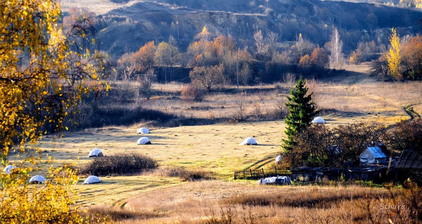 На краю деревни.