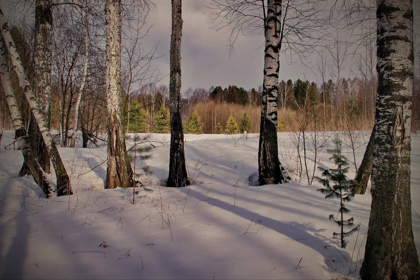 *На исходе зимы.**