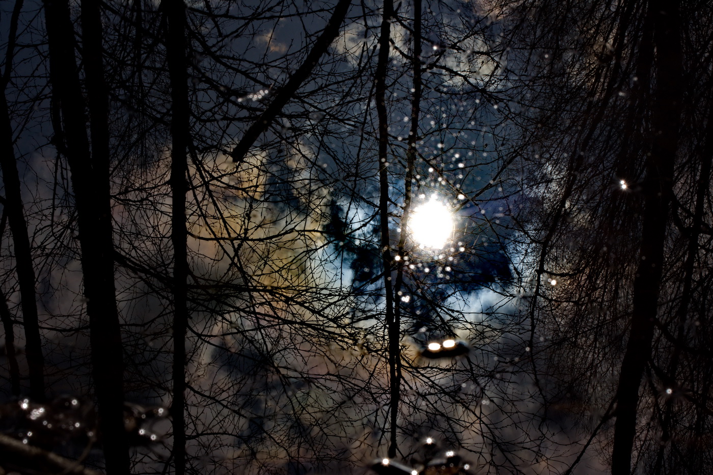 В перевёрнутом виде