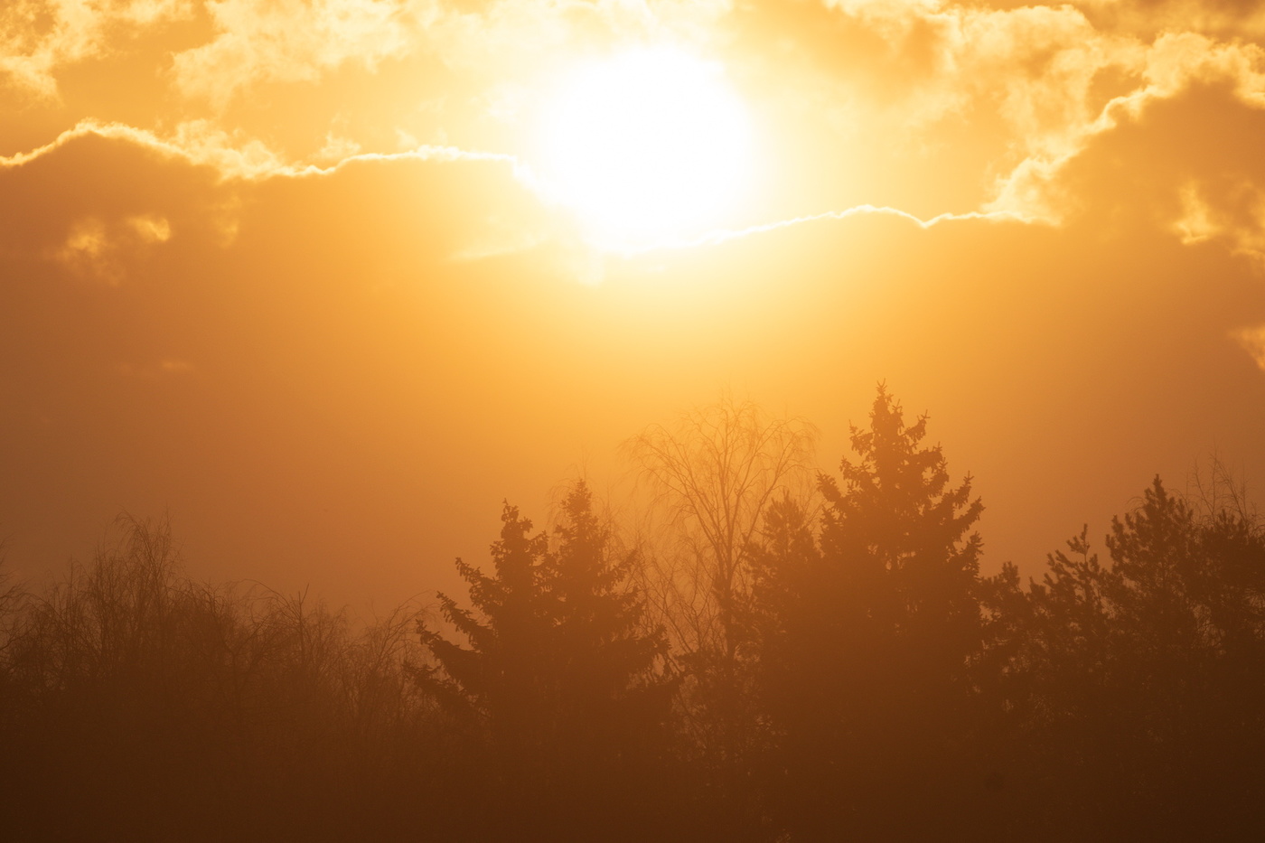 Новый день.