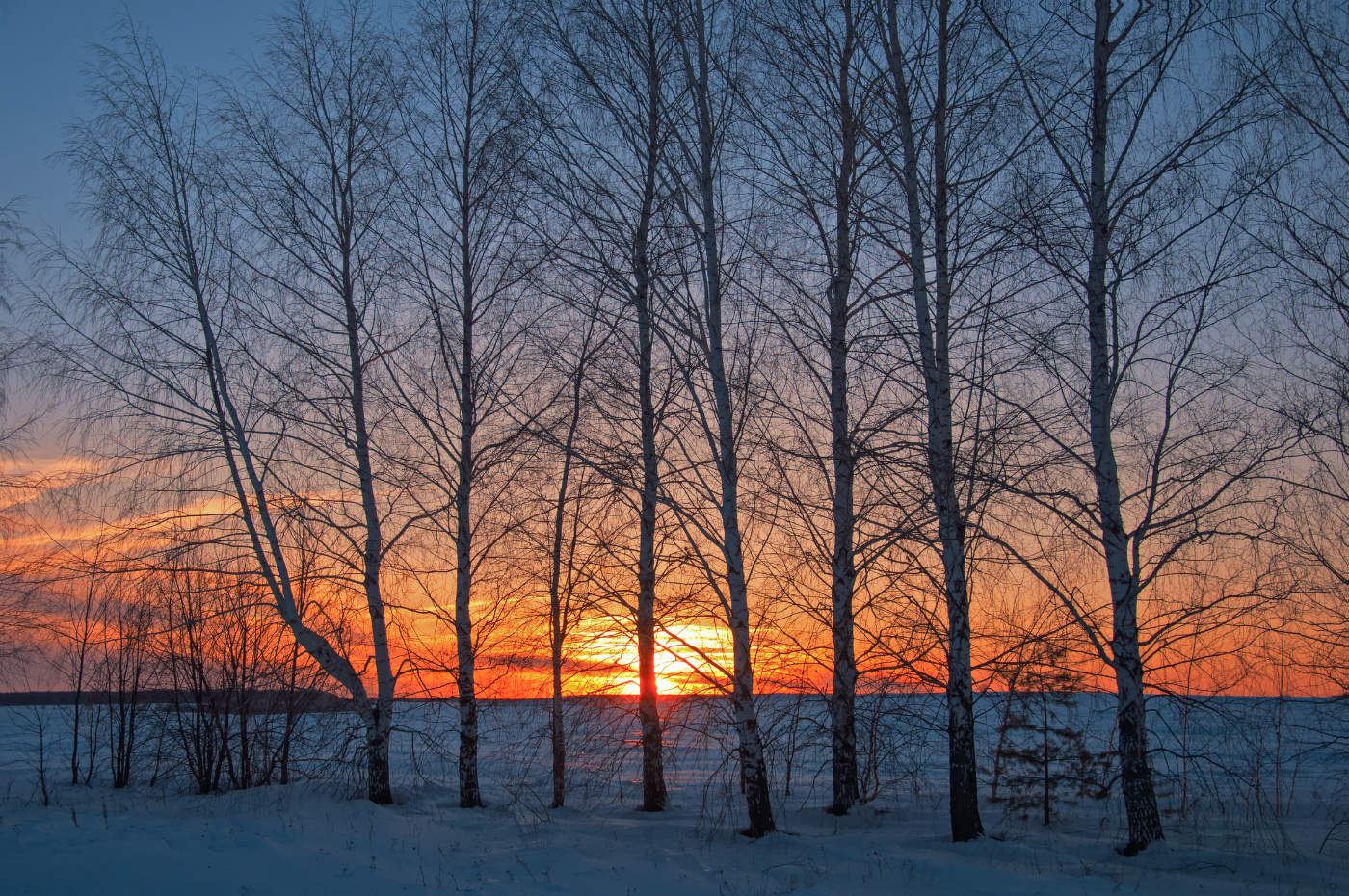 И горящий диск солнца достиг той черты, где кончается свет...