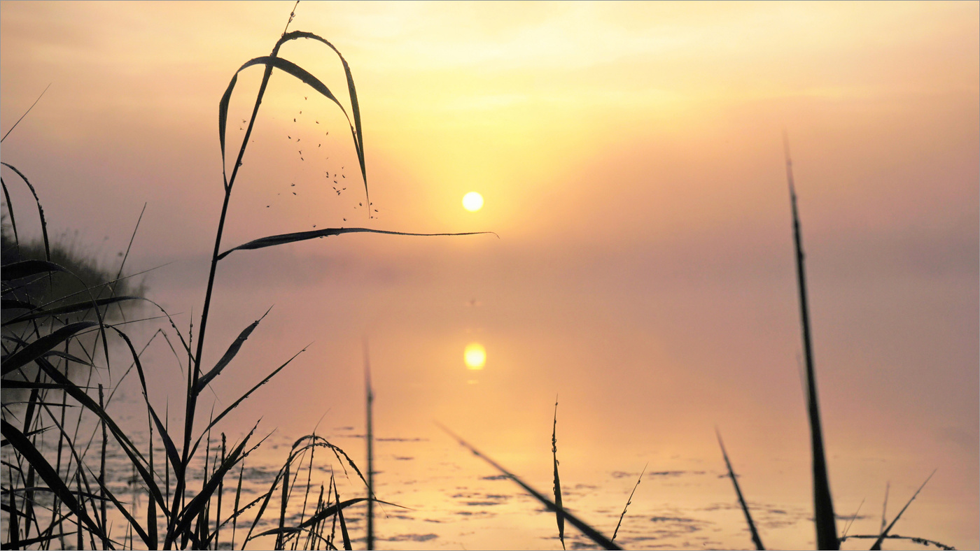 В тишине раннего утра