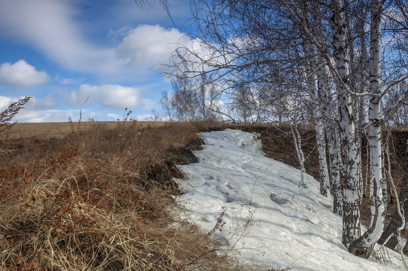 Последние штрихи