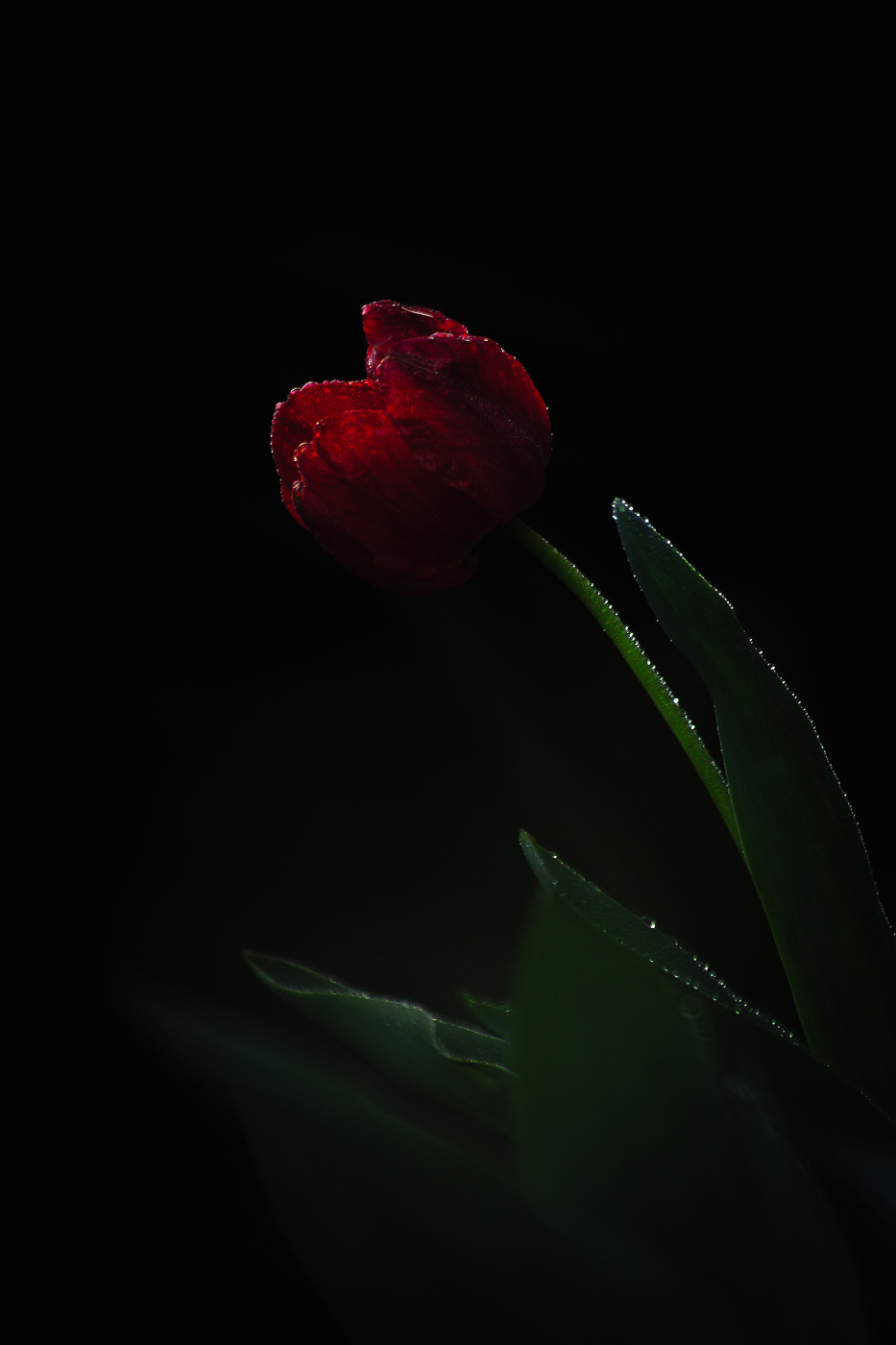 Сумрачный...