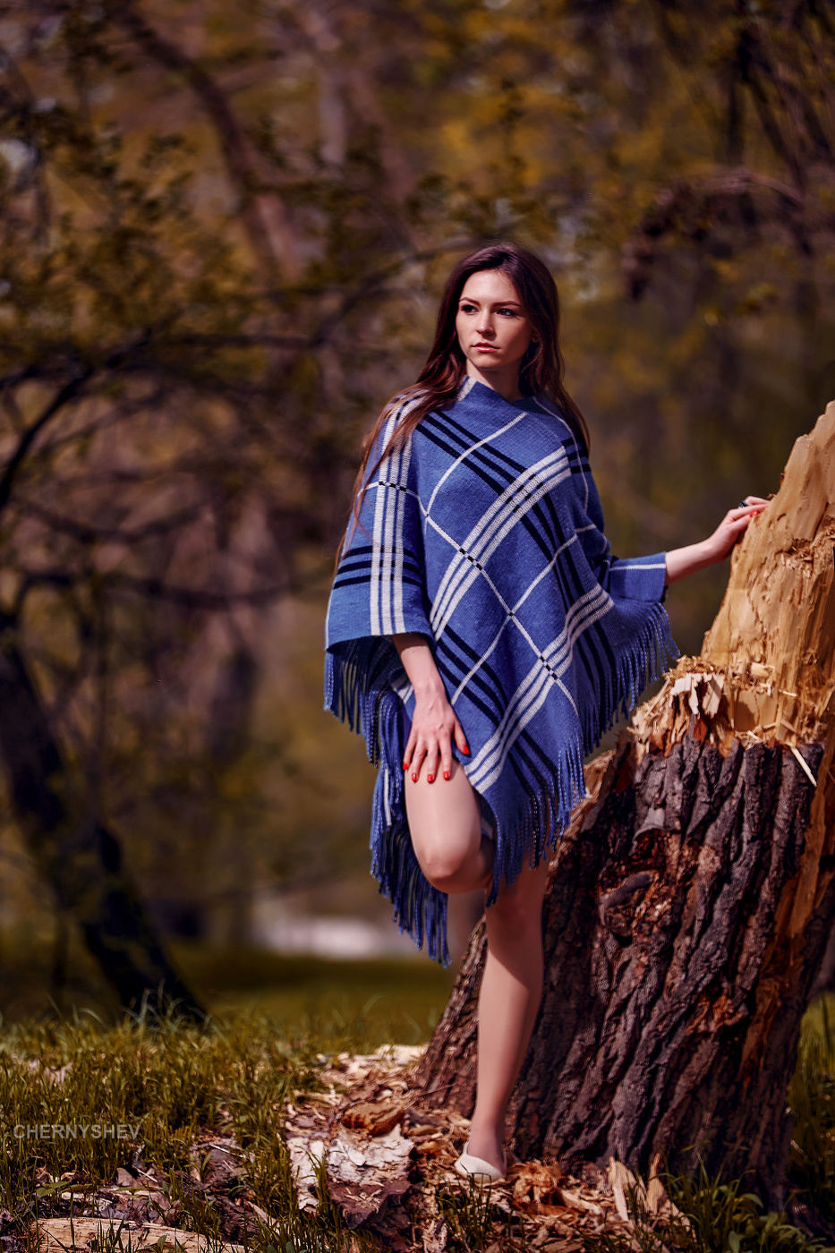 из альбома "логика листьев".