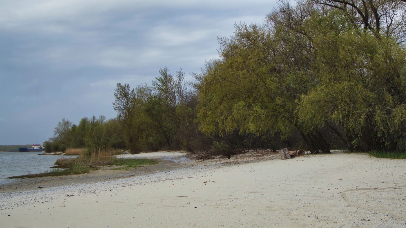 Утро нового дня