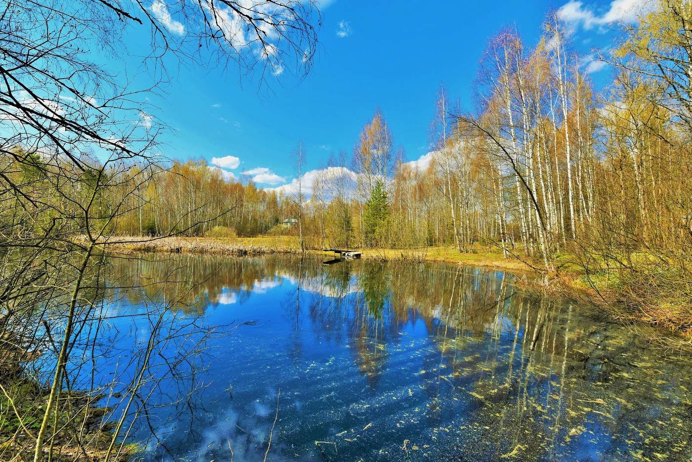 "Апрель уже развесил акварель в тиши природной..."