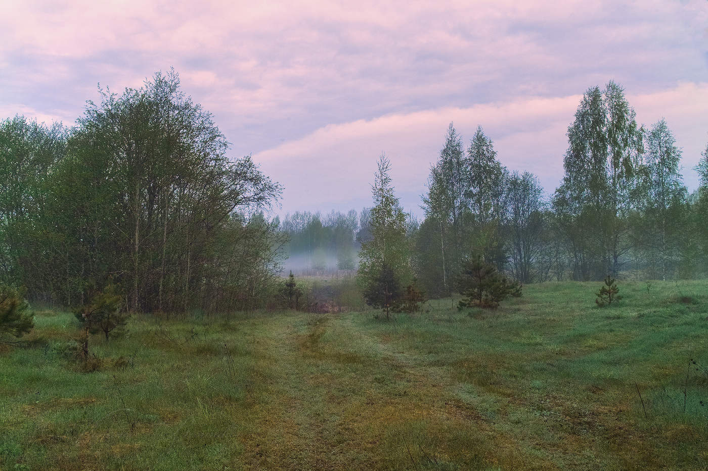 На краю тумана