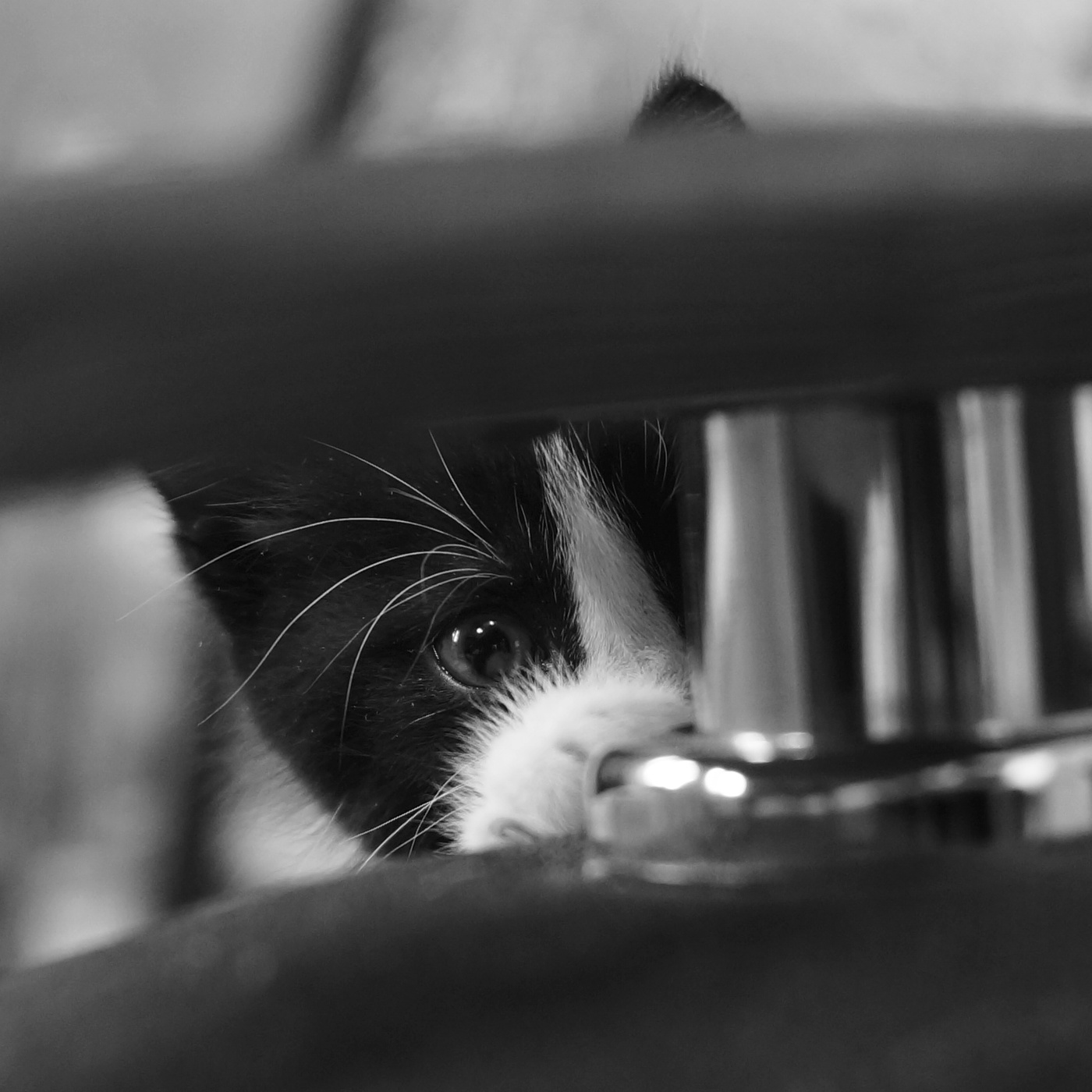 Я тебя вижу...