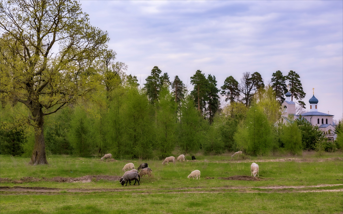 УМИРОТВОРЕНИЕ