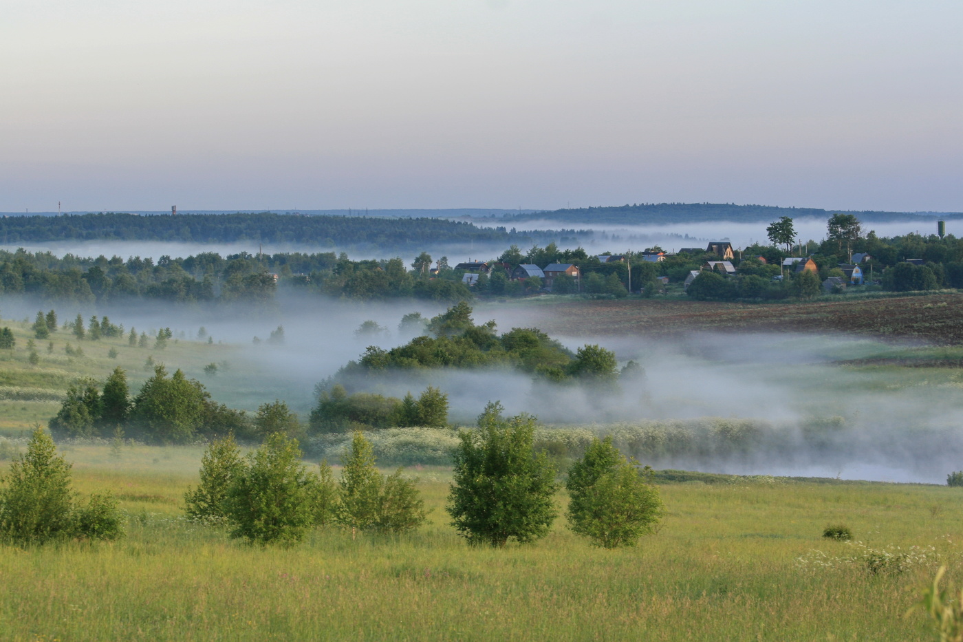 Туманное утро