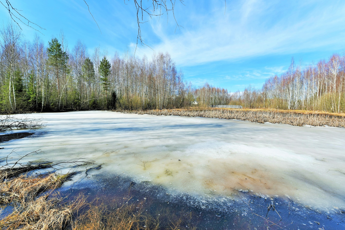 "Апрельский лед - как сахарный песок, насыпанный в тарелку с голубикой..."