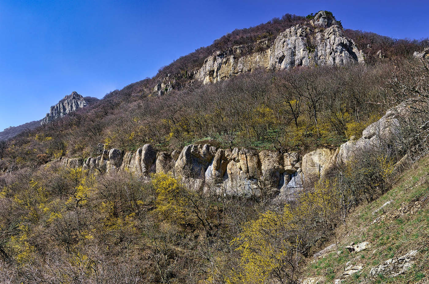 На южных склонах Демирджи