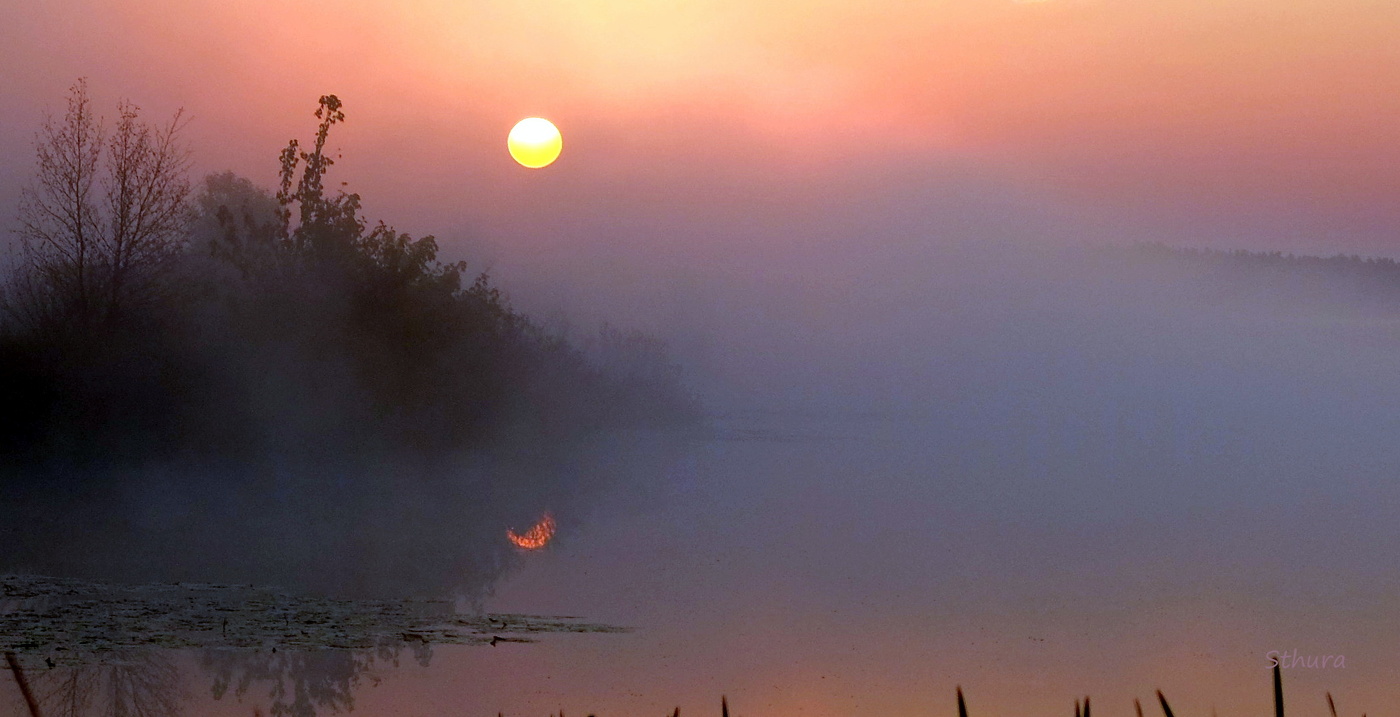 На озере Сосновое.