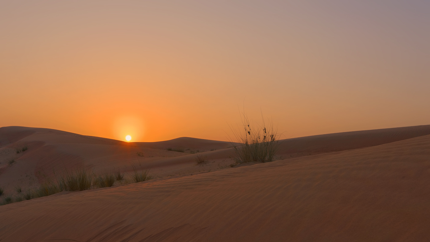 Весна в пустыне...