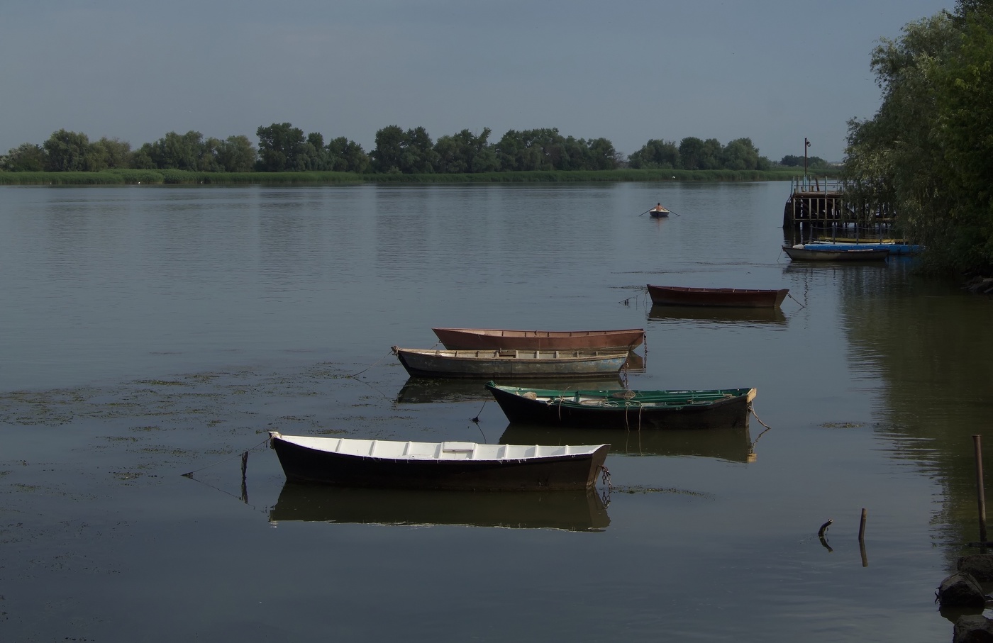 Теплым днем