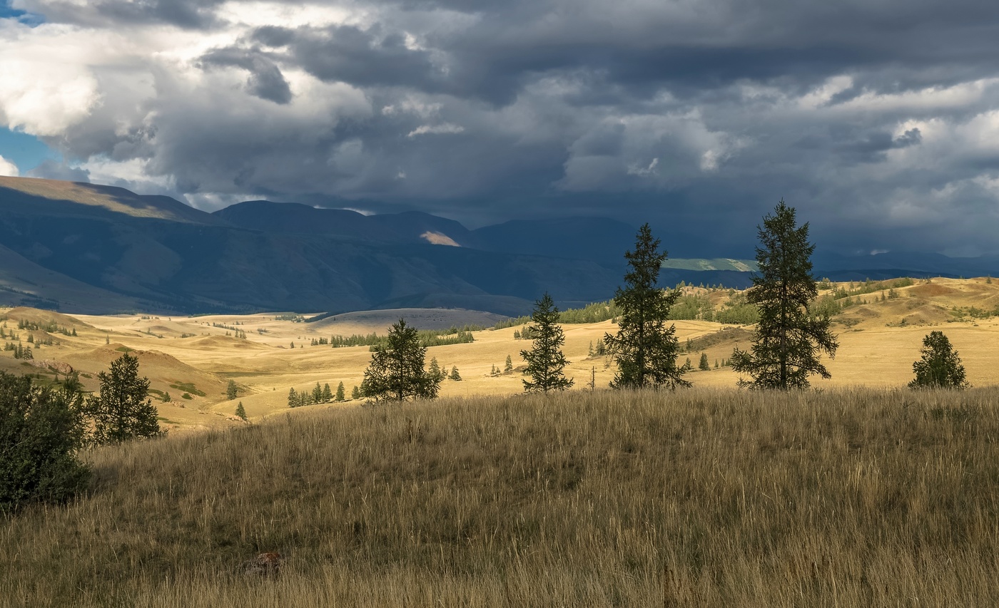 Перед непогодой