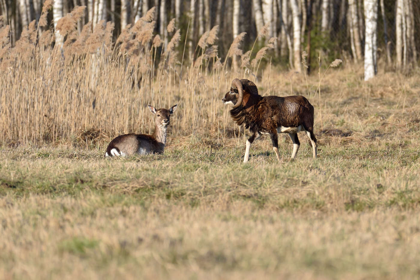 давай знакомиться