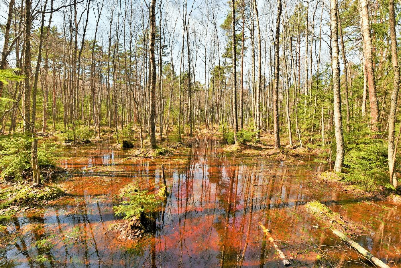 "Апрель ... Вторые тридцать дней весны ..."