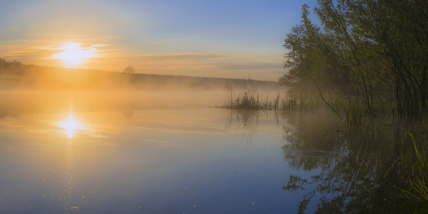 Весеннее утро.