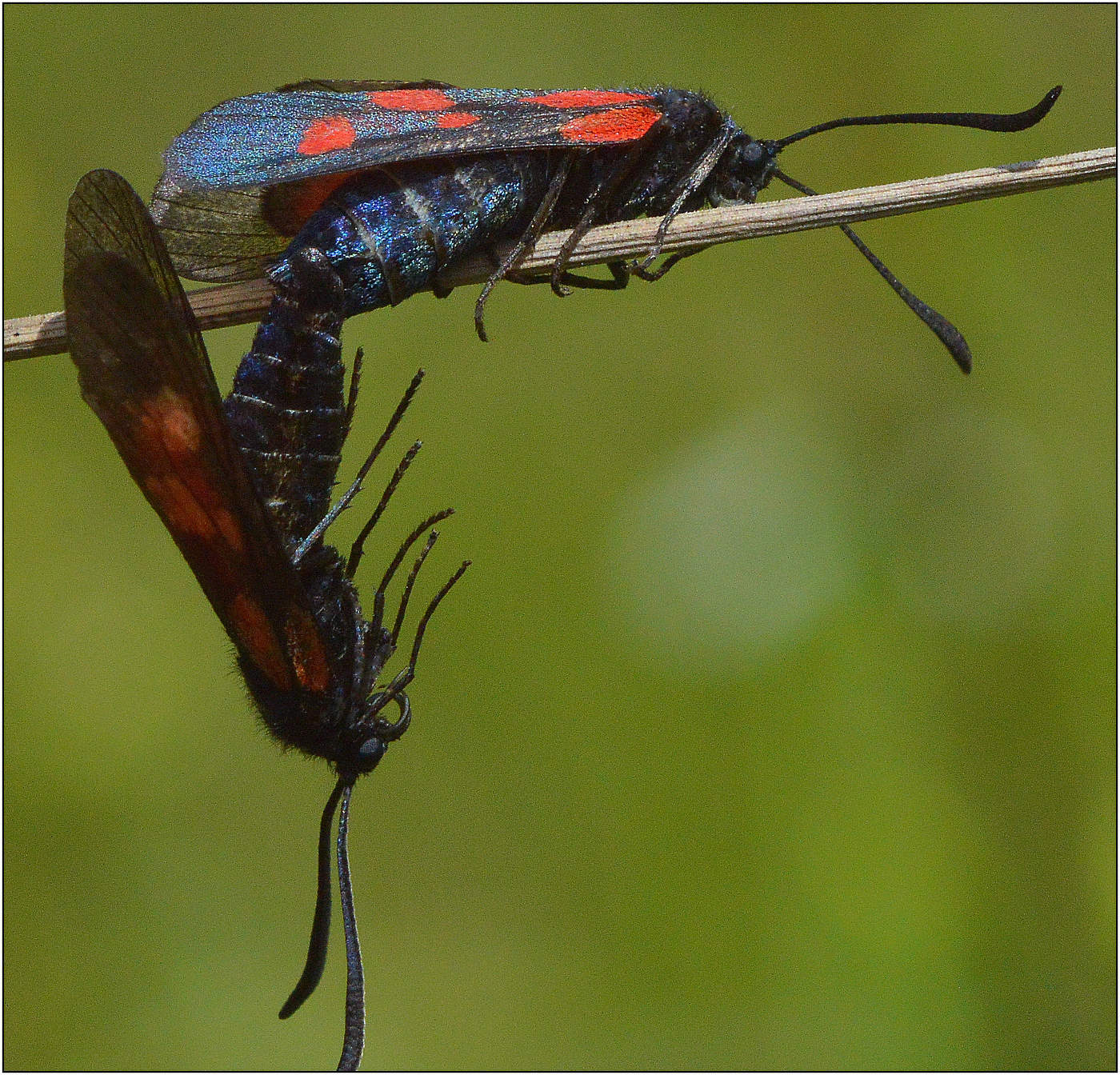 Прямой угол.
