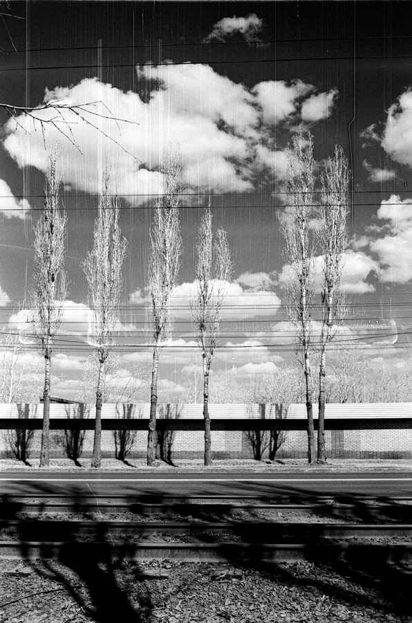 Поцарапанный пейзаж