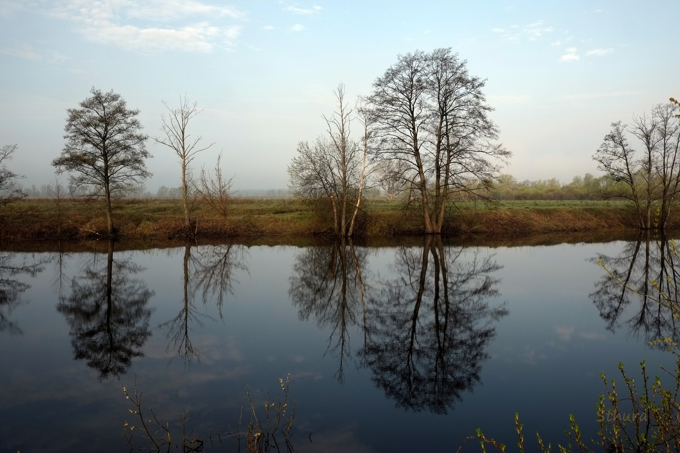 Весеннее утро.