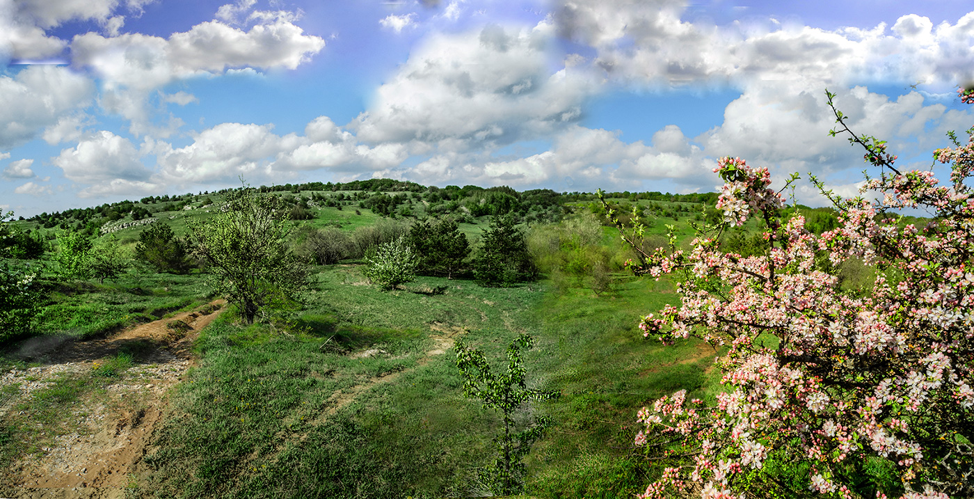 Горное цветение